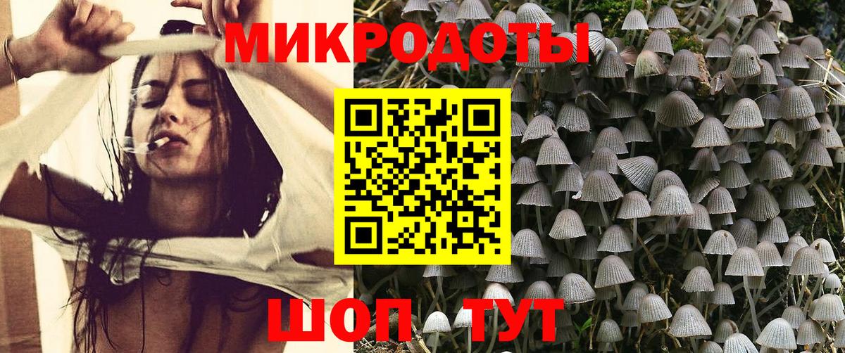 Богородск  Галлюциногенные грибы Psilocybine cubensis  Вход с VPN 